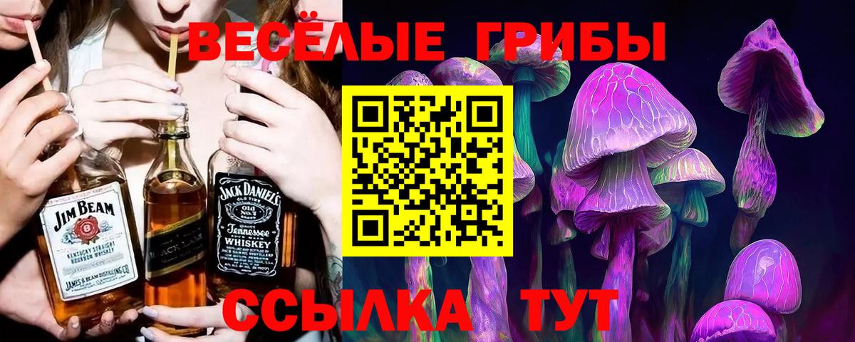 Псилоцибиновые грибы прущие грибы  Вход с VPN  Нефтекумск  Галлюциногенные грибы ЛСД 