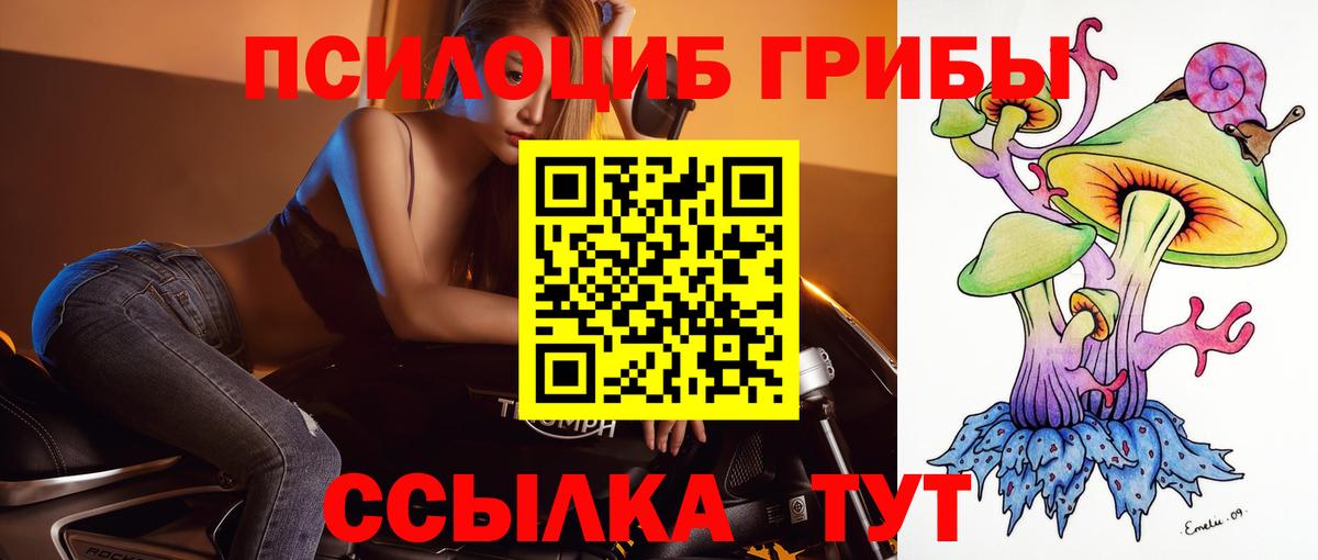Галлюциногенные грибы Cubensis Нефтекумск