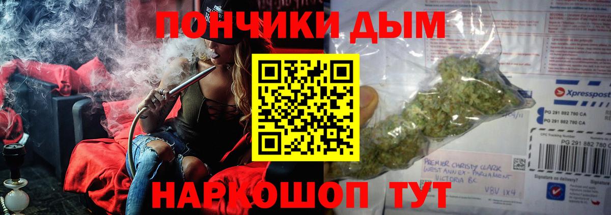 Бошки марихуана OG Kush  Конопля OG Kush  Вход с VPN  Бошки марихуана конопля  Нефтекумск 